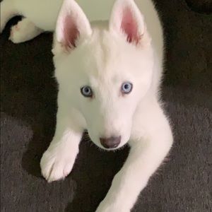 Meet your Posher, Melanie